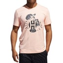 ADIDAS BASKETBALL HARDEN SWAGGER VERB CLIMALITE T
