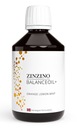 Zinzino BalanceOil+ 300 ml, príchuť Oranžovo-citrónovo-mätová EAN (GTIN) 5905997895064