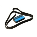 COURROIE MULTICANAL 8PK1226 DAYCOphoto 13