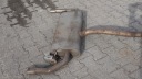 VOLVO V90 2.0 DR ГЛУШНИК ВИХЛОП ТРУБА 82219128  (16149085301) фото min 8