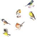 НАКЛЕЙКА НА ОКНО ПРИЗМАТИЧЕСКИХ ПТИЦ С КОНФИДЕНЦИАЛЬНОСТЬЮ