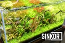 Sinkor LED II 75 см WRB 25W с Wifi LED Control
