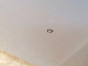 КАПОТ КРИШКА ДВИГУНА SKODA OCTAVIA 4 IV 5E3 2020-  (18436140284) фото min 7