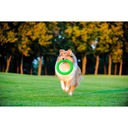 Hračka pre psa PitchDog ring na aportovanie, škrabadlo, pr. 28 cm, zelená Značka PitchDog