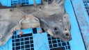 CHÂSSIS AVANT PEUGEOT 307 2.0HDI 01-05Rphoto 5