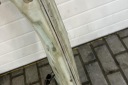 RÉSERVOIR LAVE-GLACES BMW X6 (E71, E72) 7161476 3.0L DIESEL 173KW 2008photo 11