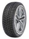 НОВАЯ ЗИМНЯЯ ШИНА RADAR 255/50R19 DIMAX ALPINE 107V XL TL #E