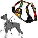 Postroj beztlakový pre psa Pútko nastaviteľný XXS 15 mm CHIHUAHUA LISTY Obchodné meno Szelki bezuciskowe regulowane XXS PIES W KALEJDOSKOPIE