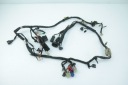 YAMAHA FZS FZ6 600 FAZER 02-03 WIRE SET HOME  photo 10