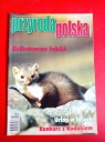 Przyroda Polska нет. 8/2003, август 2003 г.