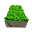 Финский Мох Хроботек 500г Летний Зеленый