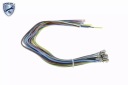 VEMO KIT FILS AUDI-VW V10-83-0082 VEMphoto 12