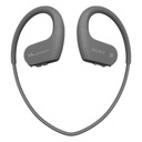 MP3 Sony NW-WS623 черный 4 ГБ