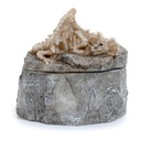 КОСТНЫЙ ДРАКОН - КОРОБКА ДЛЯ КОСТЕЙ ДЛЯ МОНЕТ RPG 8 СМ