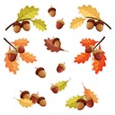 ОСЕННИЙ УКРАШЕНИЕ ОКНА / ДЛЯ ГАЗЕТЫ - Желуди (двусторонний) - Узнайте, как