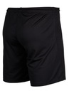 Nike pánske športové oblečenie tričko šortky r.M Druh nohavíc šortky zúžená nohavica