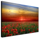 Настенная картина Природа Поле Маков на холсте