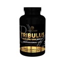 Tribulus PF Nutrition 90caps testosterón booster EAN (GTIN) 5906395153329
