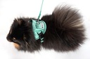 Postroj + vodítko pre psa reflexný s reguláciou modrý XS 56-72cm Druh vychádzkový postroj