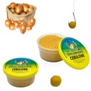 Gotowe Proteinowe CIASTO WĘDKARSKIE 80 g CEBULOWE