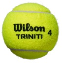 Теннисный мяч для всех кортов TRINITI CLUB WILSON новый 1шт
