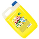 Средство для мытья посуды 5 л, РОМАШКА, Золотой Цитрус, с глицерином и витаминами А, Е, F