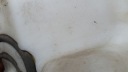БАЧОК ОМИВАЧІ CITROEN C3 II 9683988680  (14315684451) фото min 5