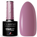 Claresa Lakier Hybrydowy do paznokci FROSTY MORNING 9