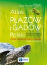 АТЛАС АМФИБИЙ И РЕПТИЛИИ ПОЛЬШИ GŁOWACIŃSKI SURA