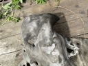 ЧИСТКИ СТІНИ ПЕРЕГОРОДКОЮ КАМЕРИ ДВИГУНА BMW E30 (451)  (18794170939) фото min 6
