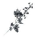 GAŁĄZKA CZARNA GAŁĄZKI LIŚCIE SZTUCZNE KWIATY