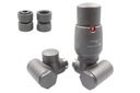 term INTEGRA графитовые клапаны str + GW1/2 RIGHT