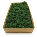 Финский мох 500г нетто