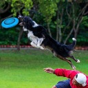Диски, Фрісбі, Бумеранги Frisbee