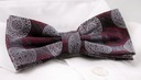 Мужской галстук-бабочка с нагрудным платком Alties - красный, яркий Talars