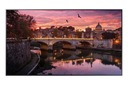 Монитор Samsung SMART Signage QB65R 65 дюймов 4K 16/7