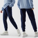 4F ЖЕНСКИЕ СПОРТИВНЫЕ БРЮКИ ВЛ. ВЛ.24