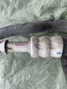 PORSCHE PANAMERA 970 3.6 CONDUITES DE DÉRIVATION TUBES AMPLIFICATEUR 97034724307 97034723708photo 8