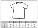 Z581 Bluzka koszulka t-shirt 3 / 98 Rozmiar (new) 98 (93 - 98 cm)