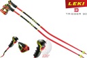 Палки для скоростного спуска гнутые LEKI WorldCUP TBS GS 3D 125см