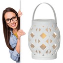 Уличный светодиодный садовый фонарь на батарейках.