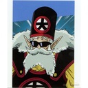 PANINI DRAGON BALL УНИВЕРСАЛЬНАЯ КОЛЛЕКЦИЯ Z47 КАРТА GRAND KAIO