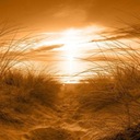 ФОТОобои 400х280 + КЛЕЙ, пляж (сепия)