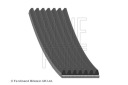 BLP AD07R2164 COURROIE WIELOROW. HONDA FR-V BE 04-photo 12
