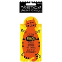 МАГНИТНАЯ ЗАКЛИНКА - Кот за работой