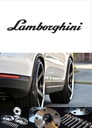 DISTANCIAS 25MM 5X112 LAMBORGHINI HURACAN GALLARDO SPYDER 2 PIEZAS + TORNILLOS 