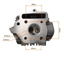 ГОЛОВКИ 50CCM (39MM) KPL. MOTOROWER, LOS,KING, MINICHOPER  фото 9