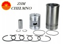KIT RÉPARATION MOTEUR URSUS C-330 ZSM CHELMNOphoto 5