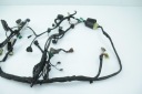 SUZUKI DL 650 V-STROM 04-11 WIRE SET HOME  photo 6