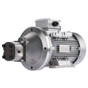 НАСОС HYDR ЗУБЧАТАЯ ПРАВА 12L + ДВИГУН ЕЛЕКТРИЧНИЙ 3-FAZ IE3 400V 2,2KW 10MPA  (17575643095) фото min 7